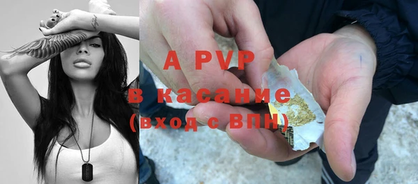 PSILOCYBIN Абдулино