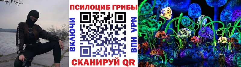 Галлюциногенные грибы Psilocybe  Донской 